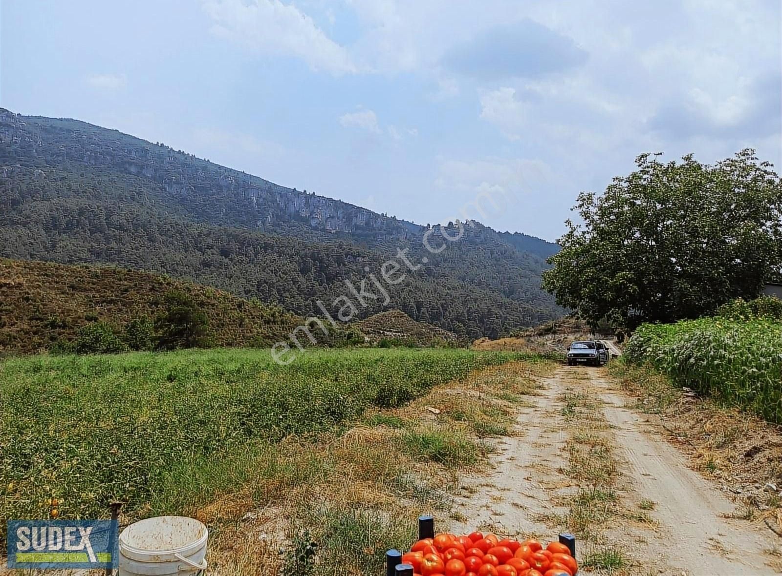 Toroslar Musalı Satılık Bağ & Bahçe YATIRIM FIRSATI