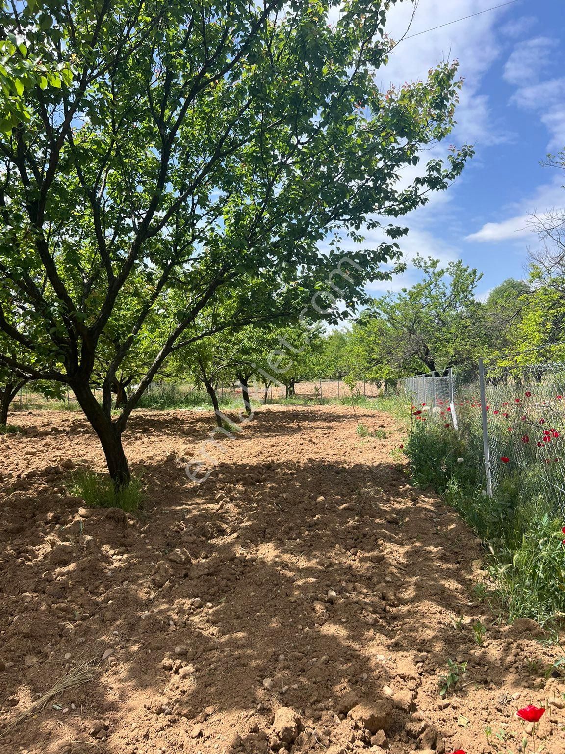 Yeşilyurt Topsöğüt Satılık Villa İmarlı Villa İmarlı Arsa