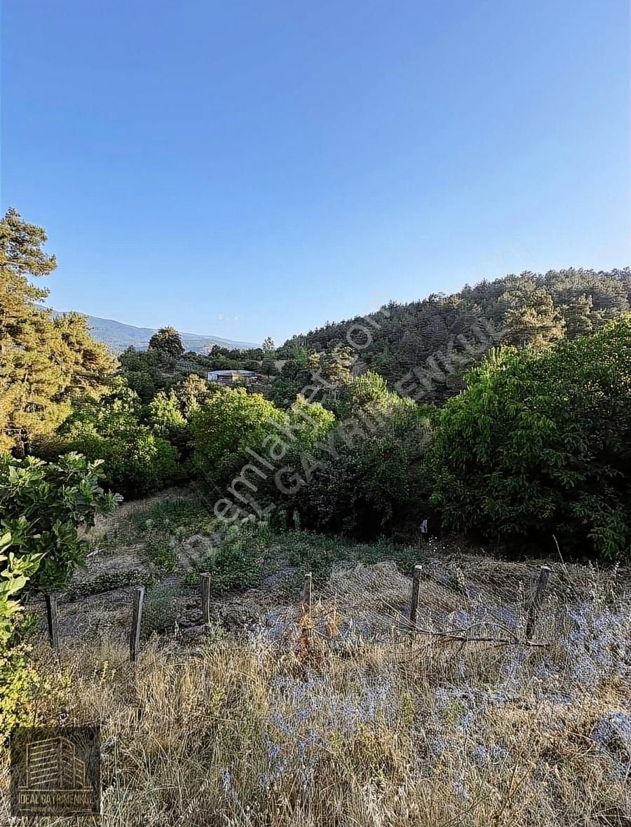 Kazdağları Eteğinde %80 İmarlı Yola Cephe Köyiçi 925 M2 Arsa - Görsel 3