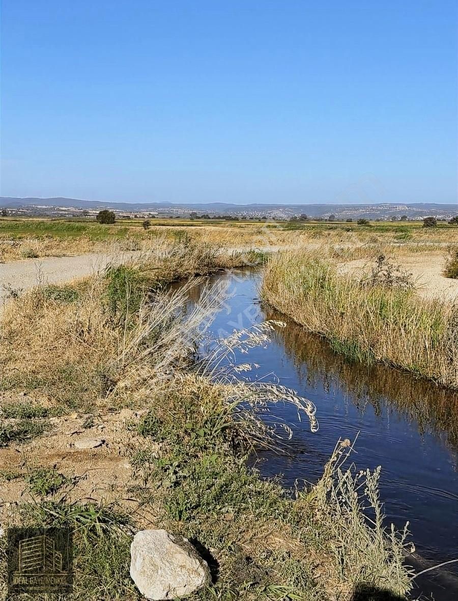 Ezine Mahmudiye Köyü (Atatürk) Satılık Tarla ÇANAKKALE MAHMUDİYE OVASINDA SU KANALI YANINDA 4603 M2 TARLA