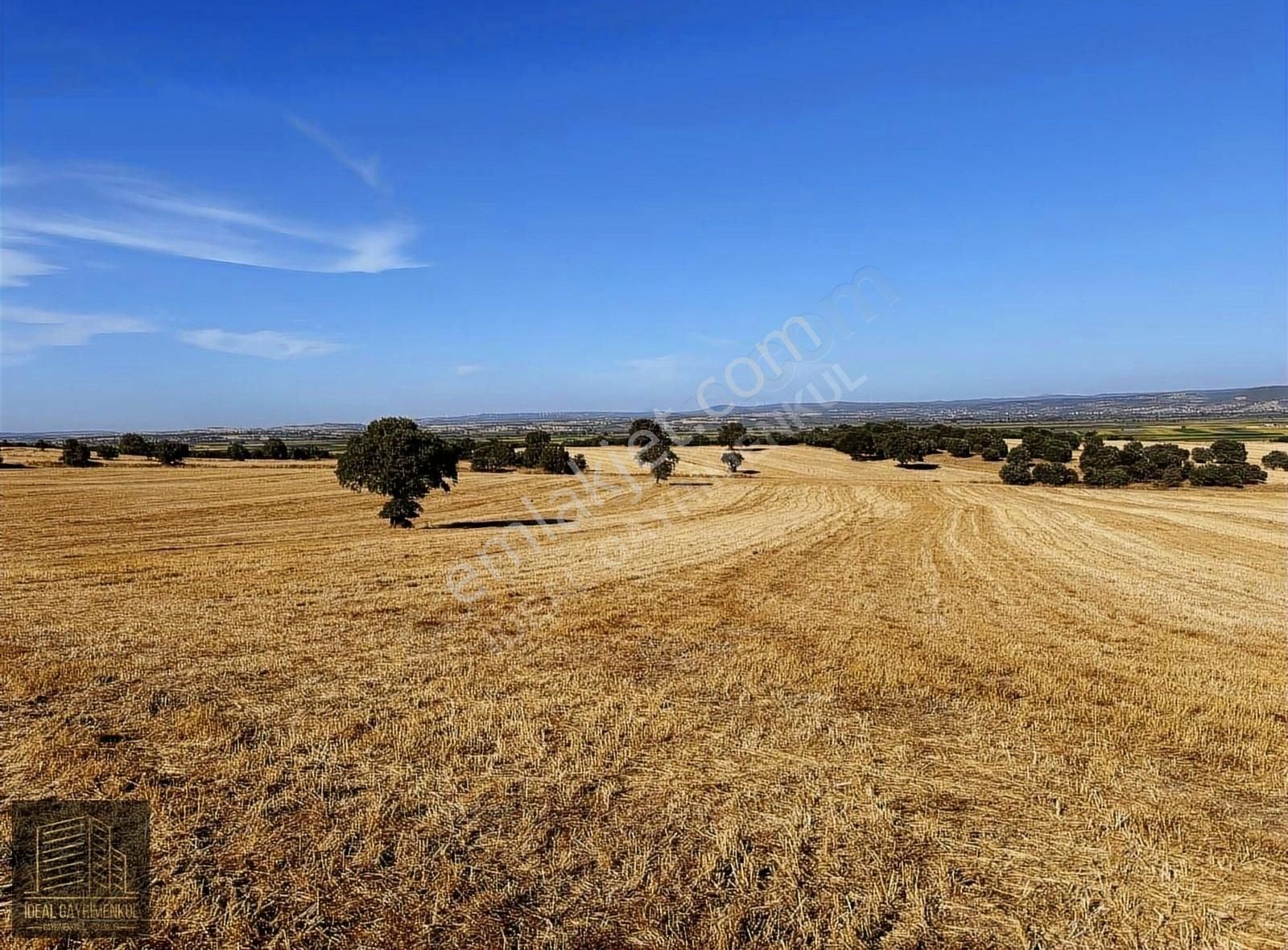 Ezine Mahmudiye Köyü (Atatürk) Satılık Tarla ÇANAKKALE MAHMUDİYE'DE DEĞERLİ MEVKİDE YOLA CEPHE 31.600M2 TARLA