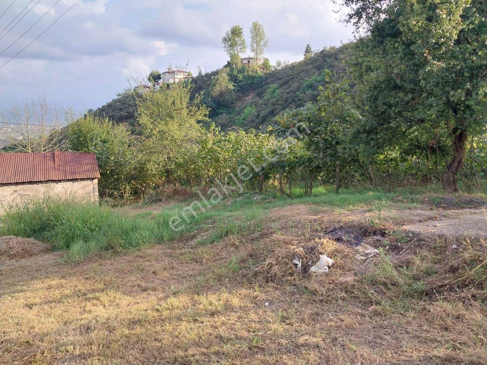 Altınordu Nizamettin Satılık Bağ & Bahçe  KOÇAK EMLAK GAYRİMENKULDEN NİZAMETTİN MAH. SATILIK ARSA