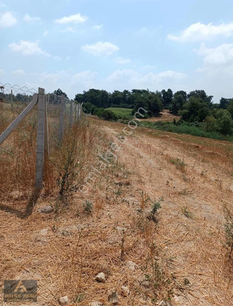 Sarıçam Kılıçlı Satılık Tarla Hatice Aksudan Kılıçlıda Suyu Mevcuttur.