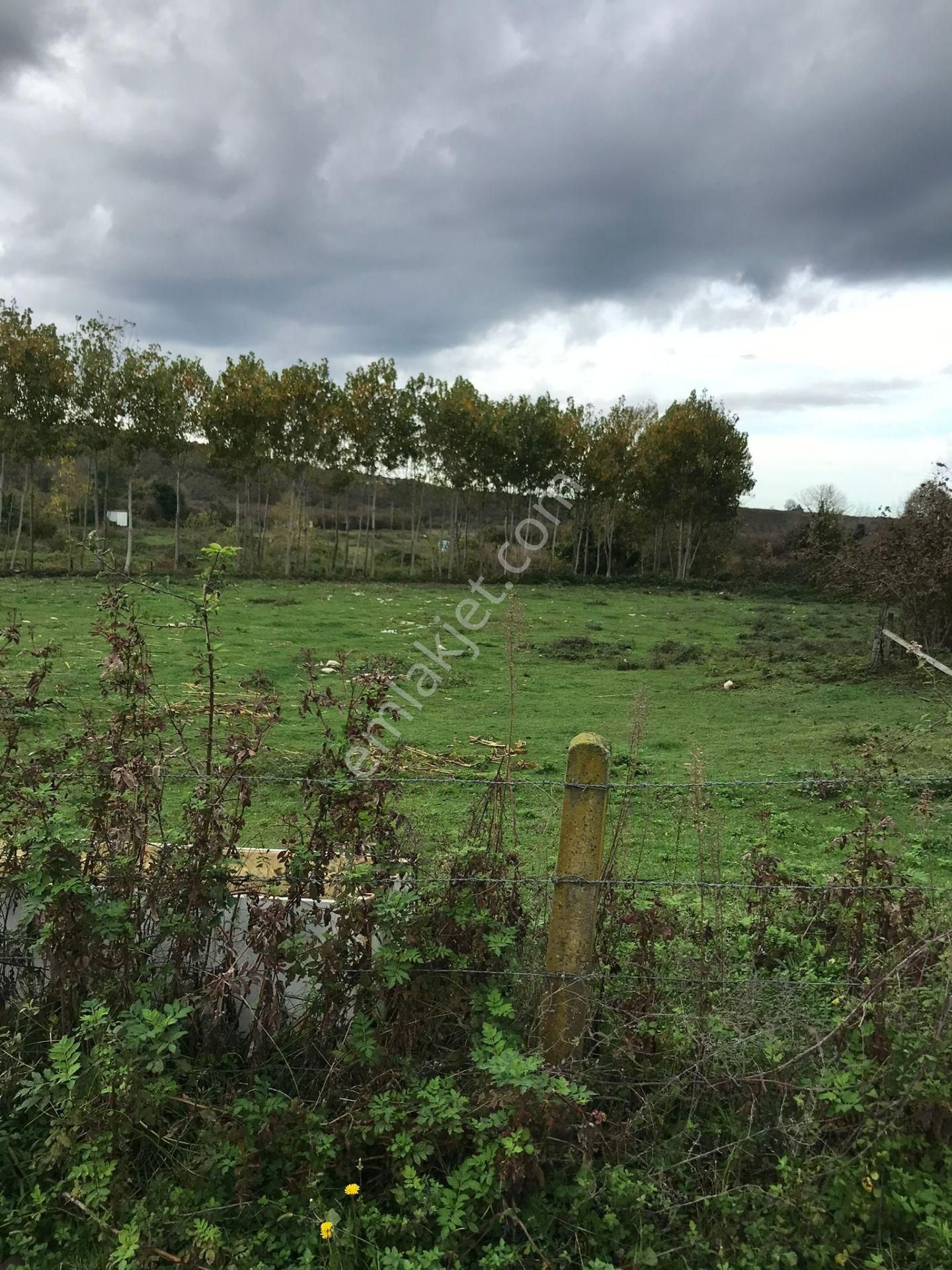 Karasu İncilli Satılık Villa İmarlı Karasu Oked Gayrimenkul İnş. Müstakil Parsel