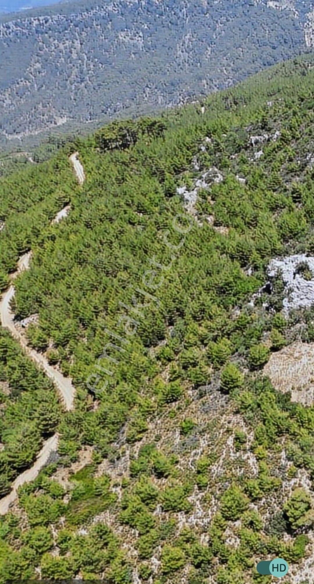 Arkadaş İnşaat Emlaktan Antalya Kumluca Yeşilköy De Satılık Deniz Manzaralı Tarla - Görsel 5