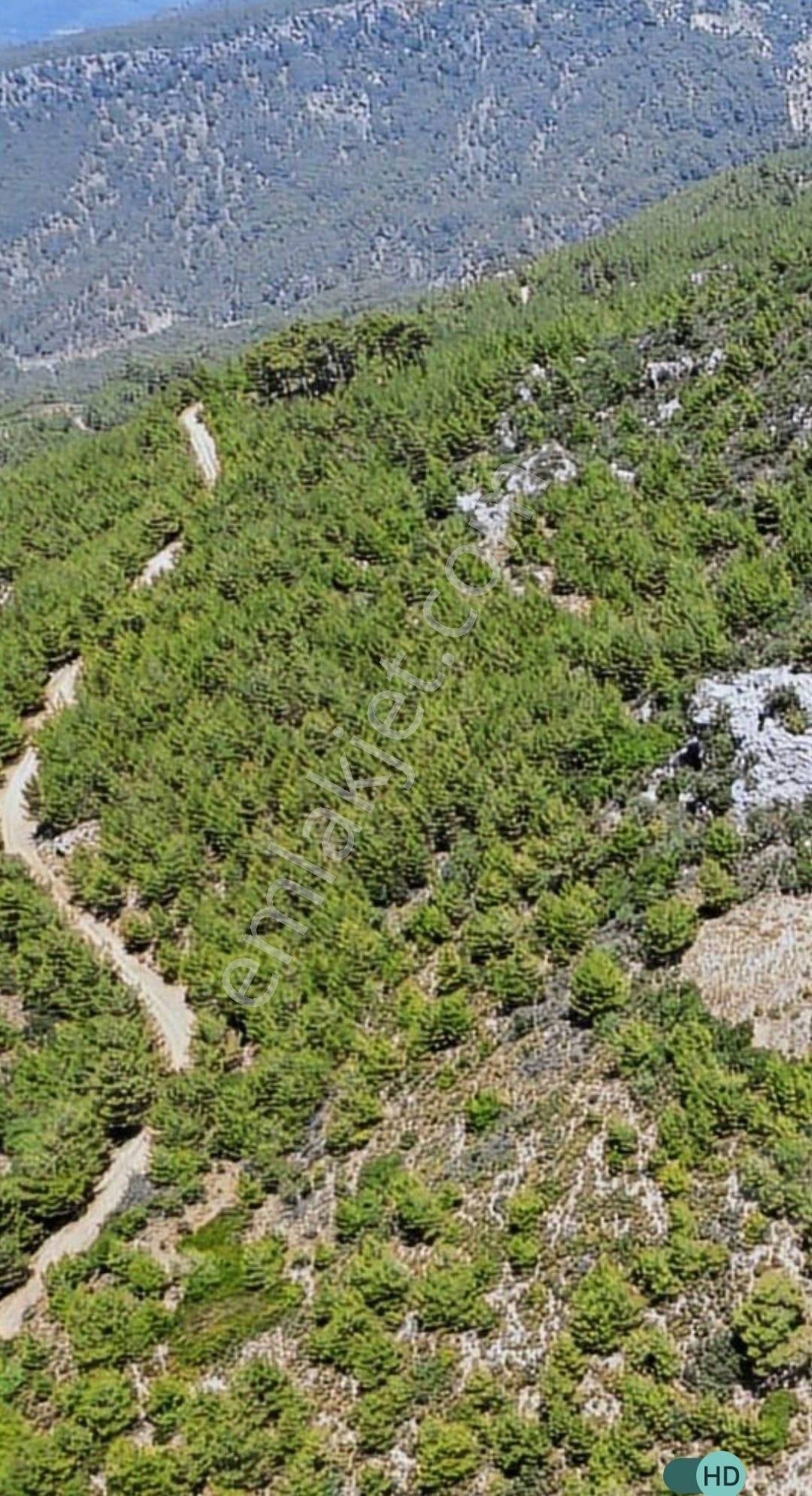 Arkadaş İnşaat Emlaktan Antalya Kumluca Yeşilköy De Satılık Deniz Manzaralı Tarla - Görsel 7