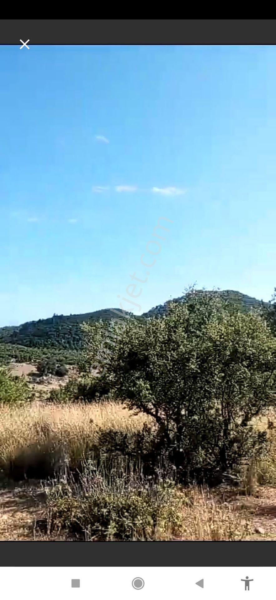 Arkadaş İnşaat Emlaktan Antalya Kumluca Yeşilköy De Satılık Deniz Manzaralı Tarla - Görsel 4