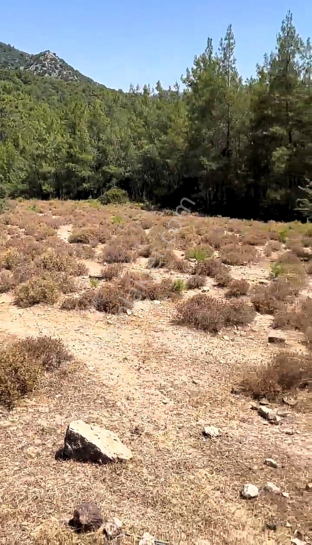 Arkadaş İnşaat Emlaktan Antalya Kumluca Yeşilköy De Satılık Deniz Manzaralı Tarla - Görsel 5