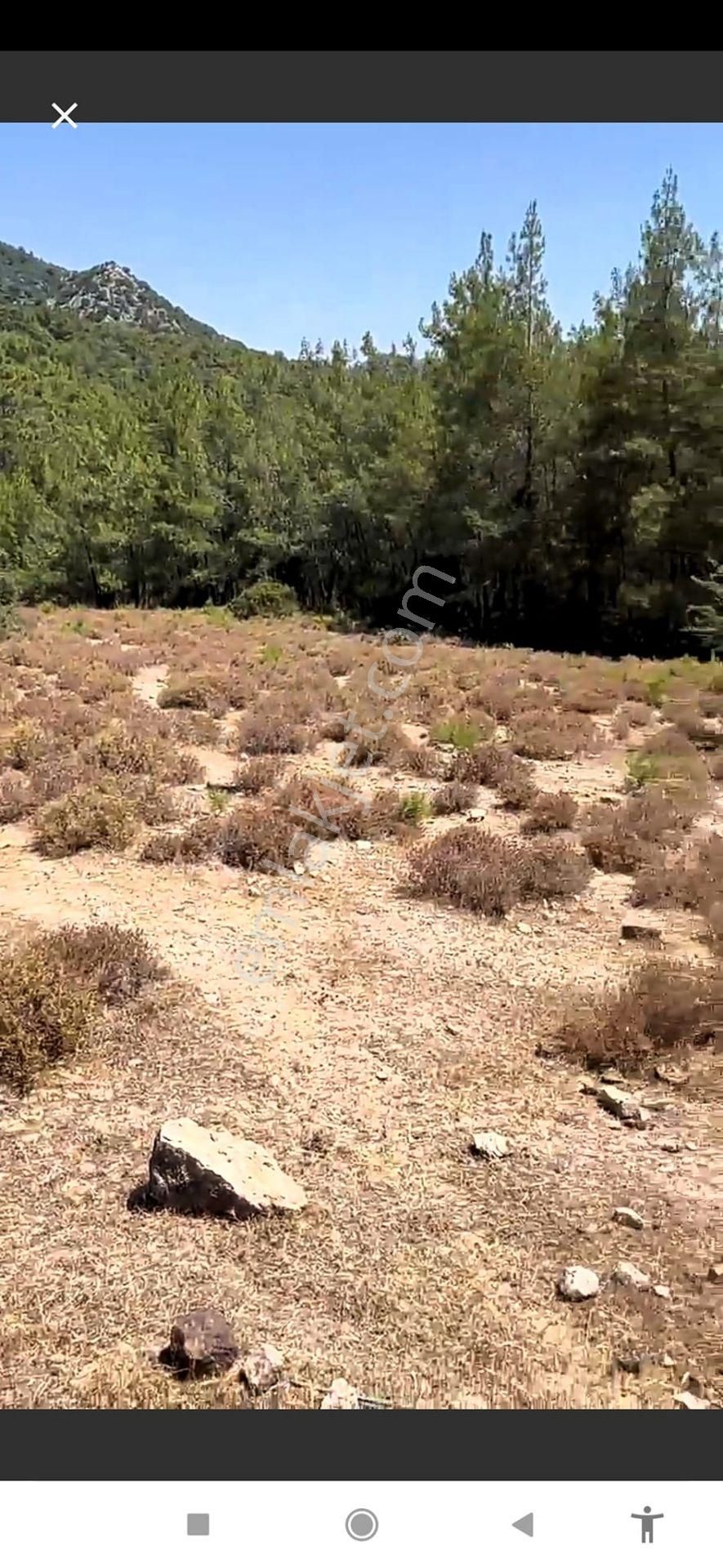 Arkadaş İnşaat Emlaktan Antalya Kumluca Yeşilköy De Satılık Deniz Manzaralı Tarla - Görsel 7