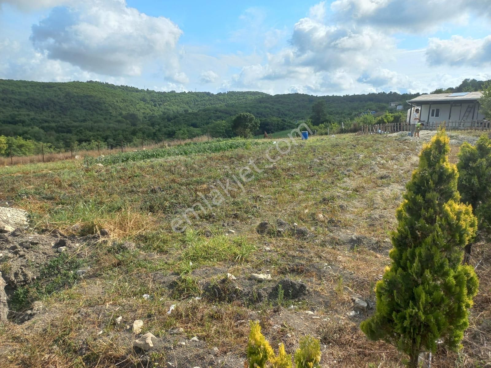 Arnavutköy Boyalık Satılık Tarla İhtiyaçtan Satılık Bahçeli Arsa Arnavutköy Boyalık