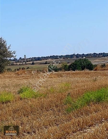 Kırklareli Merkez Ürünlü Köyü Satılık Tarla Kırklareli Merkez Ürünlü Köyün'de Otoban Yanı 470 M2