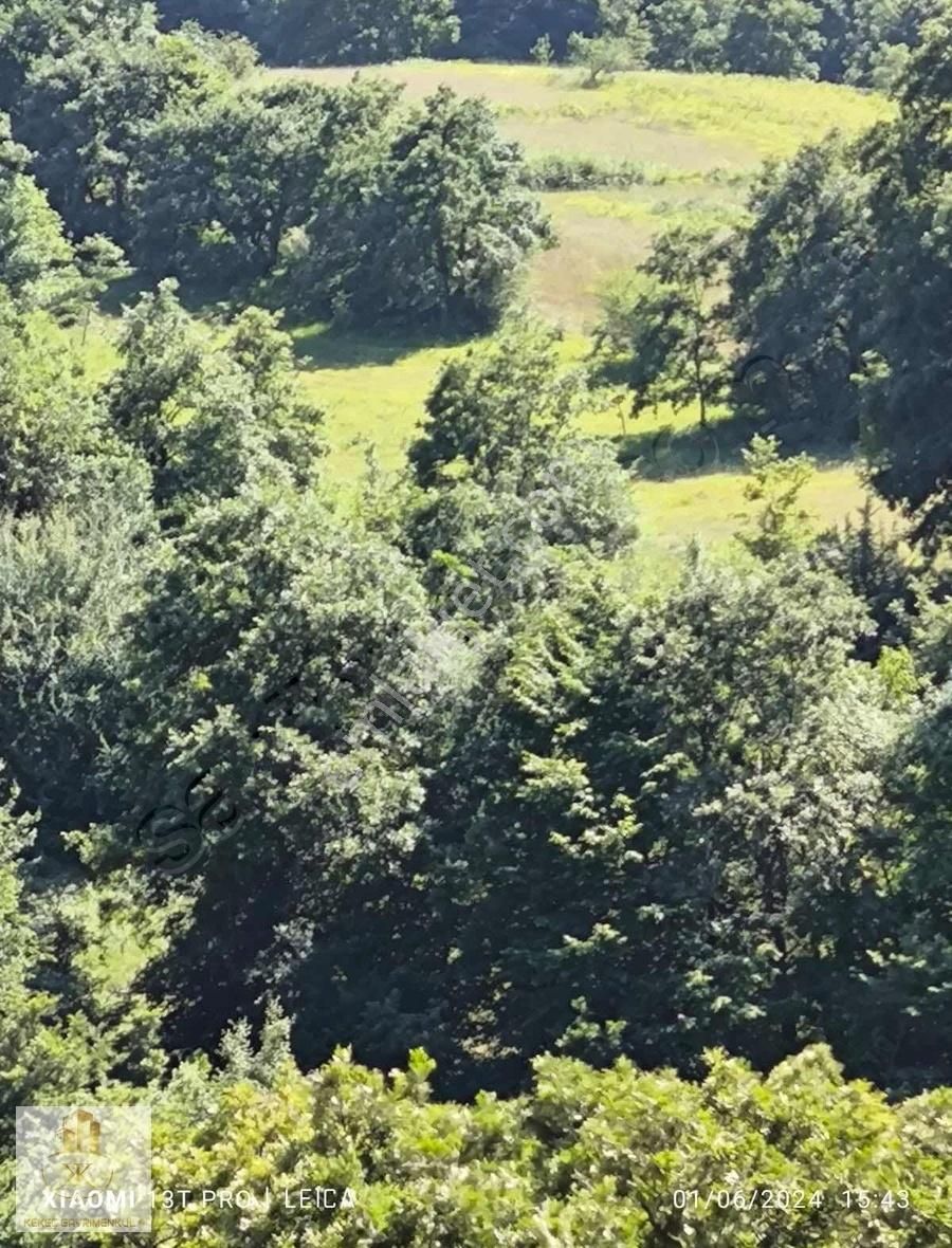 Kocaeli Kandıra Çakmaklarda 3778 M2 Satılık Tarla - Görsel 14