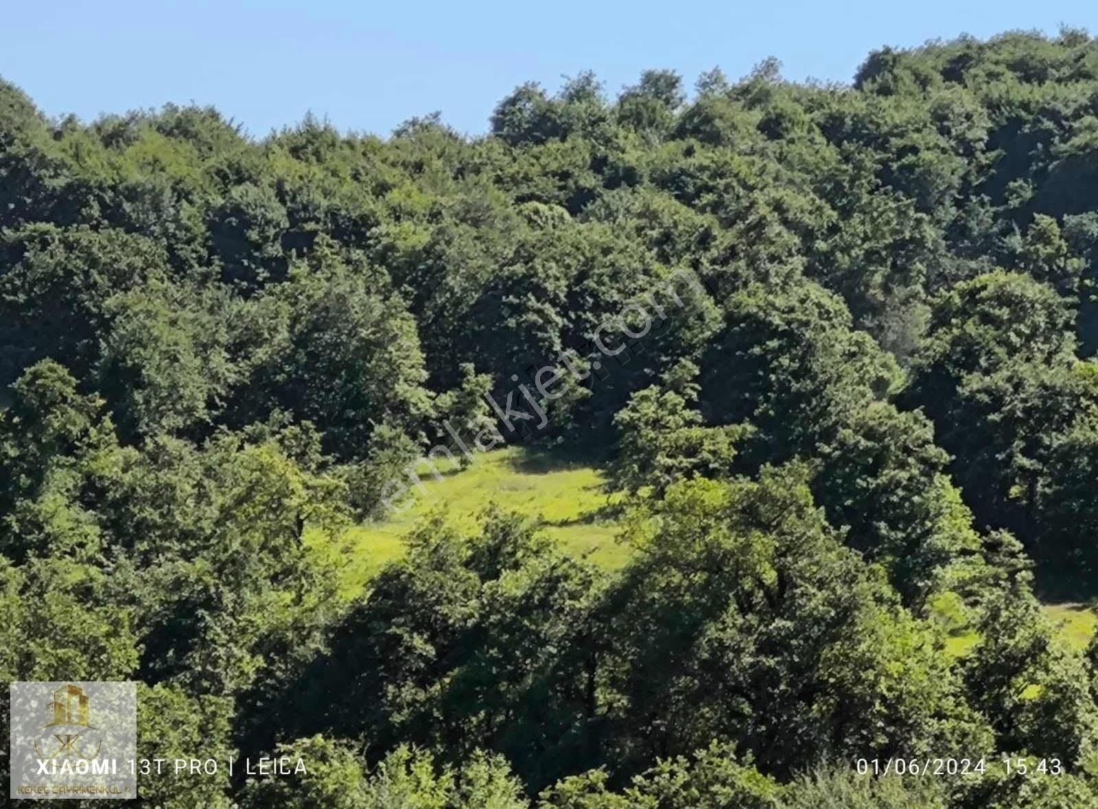 Kocaeli Kandıra Çakmaklarda 3778 M2 Satılık Tarla - Görsel 12