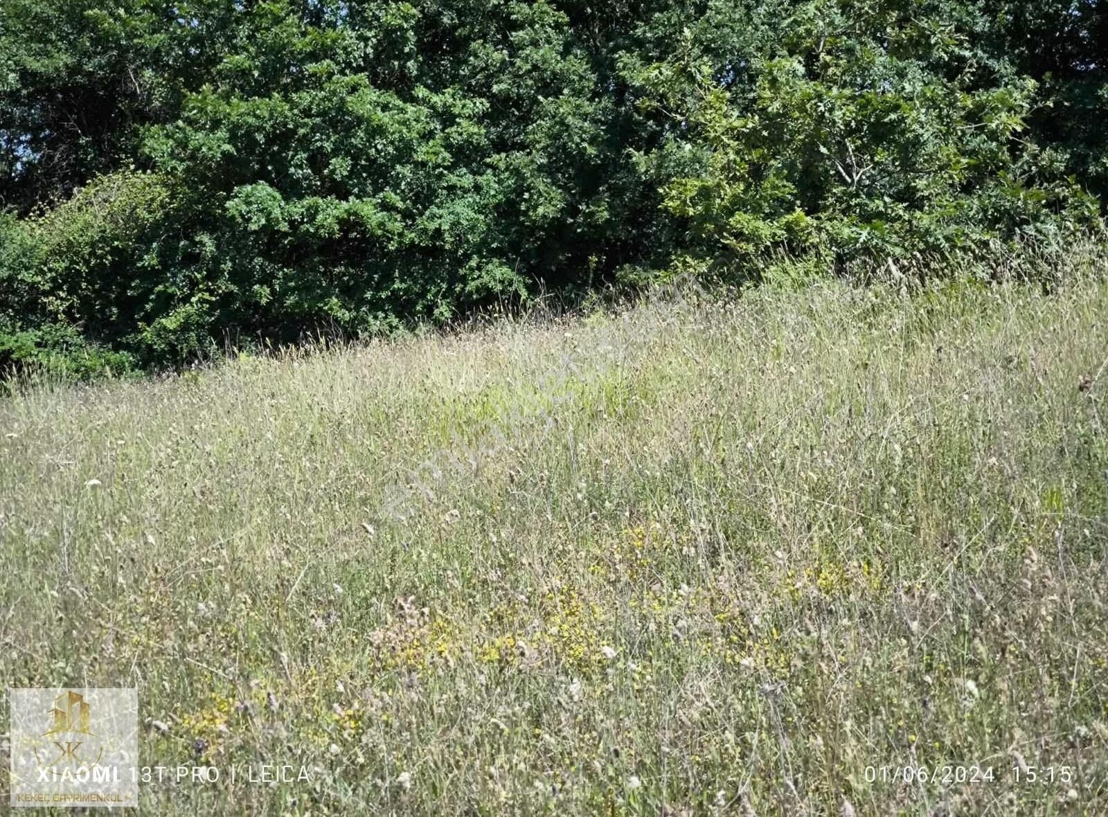 Kocaeli Kandıra Çakmaklarda 3778 M2 Satılık Tarla - Görsel 16