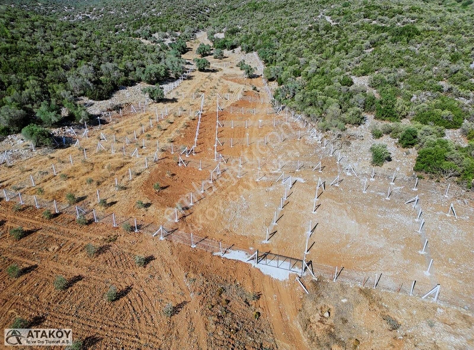 Menderes Gölova Satılık Tarla MENDERES GÖLOVADA DENİZE 6 KM 263 M2 HİSSE TAPULU PARSELLER