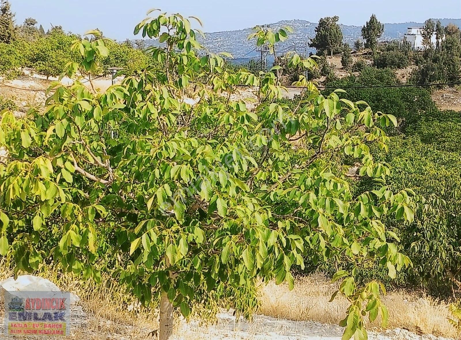 Gülnar Göktürk Satılık Tarla AYDINCIK EMLAKTAN SATILIK BAHÇE 26DÖNÜM