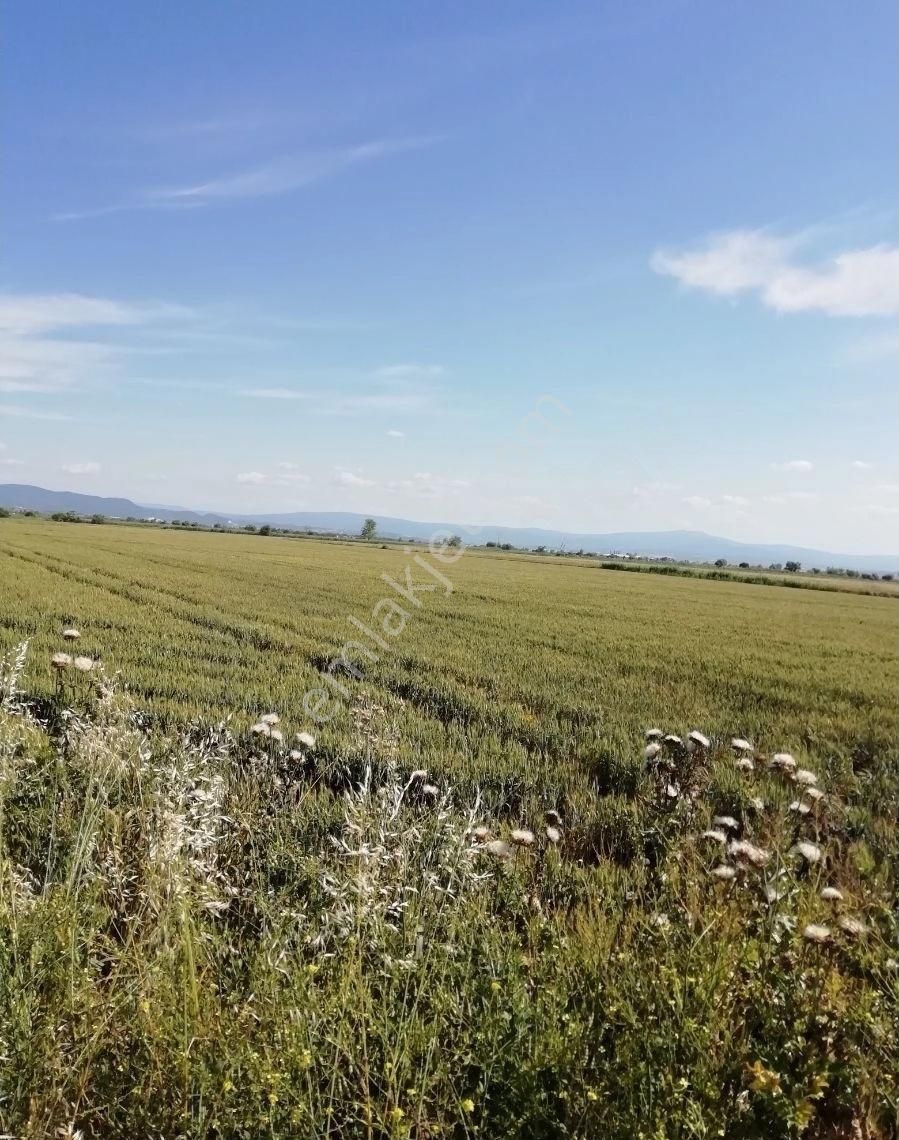 Karacabey Canbalı Satılık Tarla Karacabey Canbalı Oto Yol Bitişiği Tarla Satlıktır