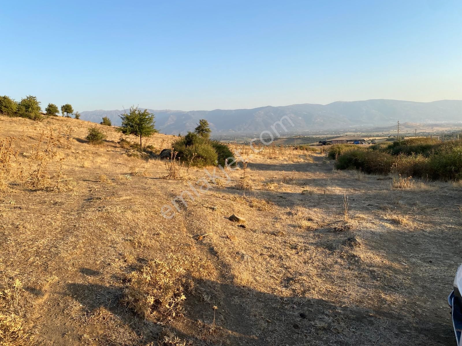 Tire Derebaşı Köyünde Tarla