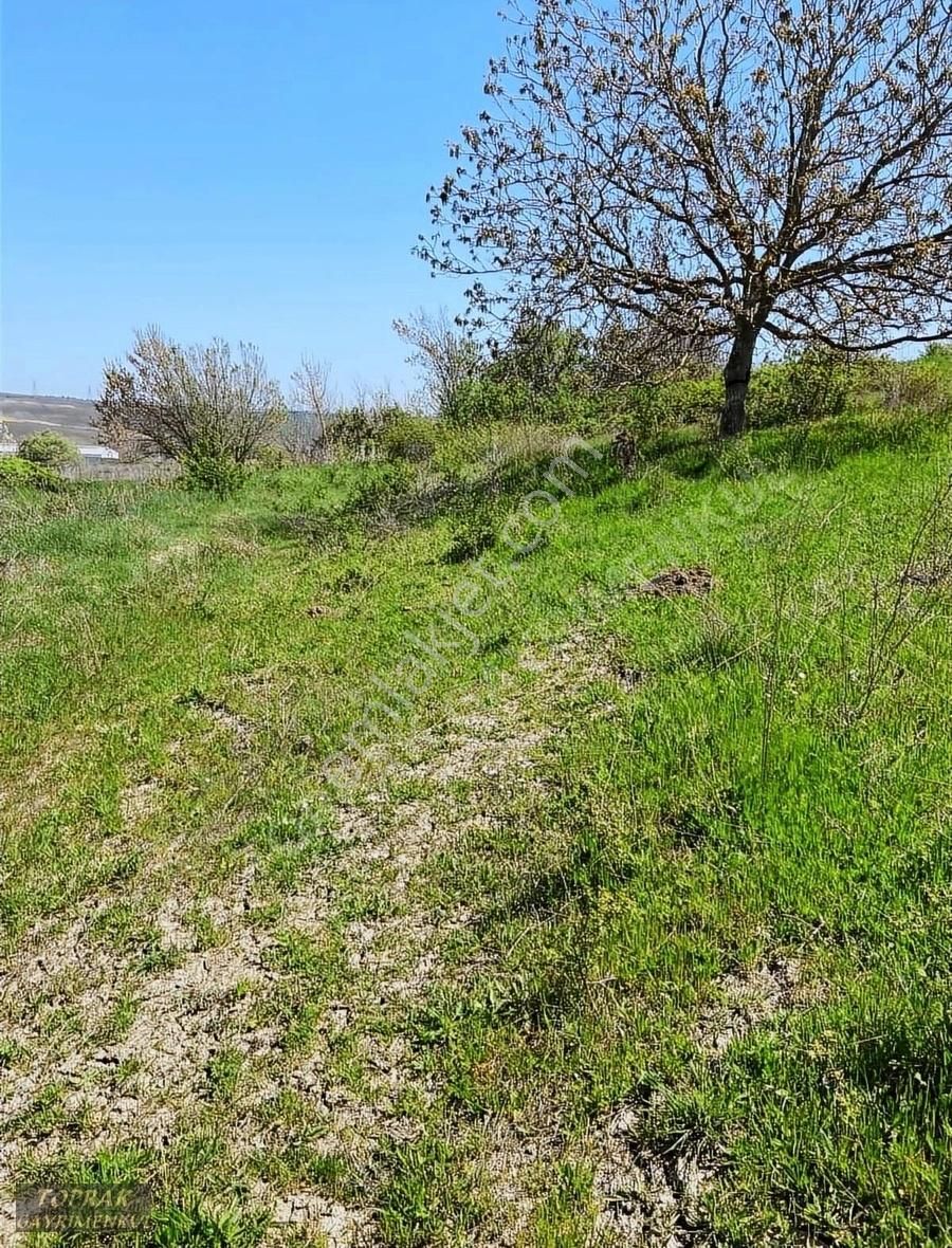 Silivri Çanta Sancaktepe Satılık Tarla Toprak Gayrimenkul Çanta Bağlararası Müstakil 1140 M2 Yolu Olan