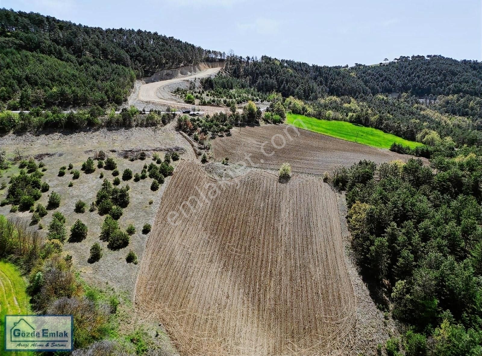 Geyve Çayköy Satılık Tarla Gözde Emlak'dan GEYVE ÇAY MAHALLESİ RESMİ YOLU OLAN 7060m2 ARAZİ