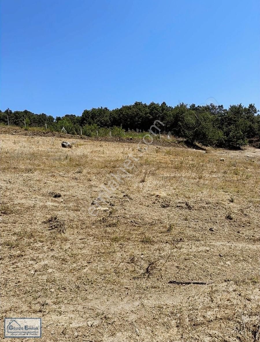 Geyve Çayköy Satılık Tarla Gözde Emlak Geyve Çay Mah 7600m2 Resmî Yol Ve Suyu Olan Arazi