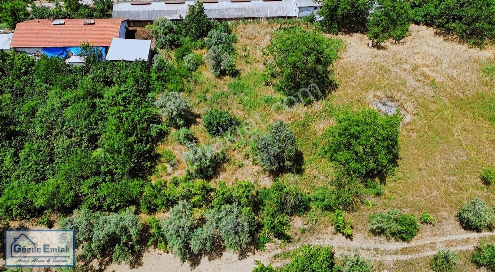 Geyve Hırka Satılık Konut İmarlı Gözde Emlakdan Sakarya Geyve Hırka İmarlı 752 M2 Arsa