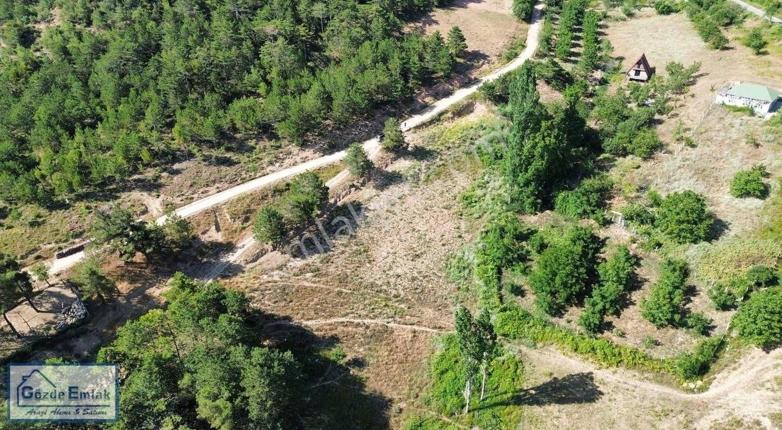 Geyve Akdoğan Satılık Tarla GÖZDE EMLAK'DAN GEYVE AKDOĞAN MAHALLESINDE SATILIK 3400 M2 ARAZI