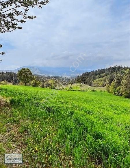 Geyve Çayköy Satılık Tarla GÖZDE EMLAK'DAN SAKARYA GEYVE ÇAY MAH. 9233m2 SATILIK ARAZI