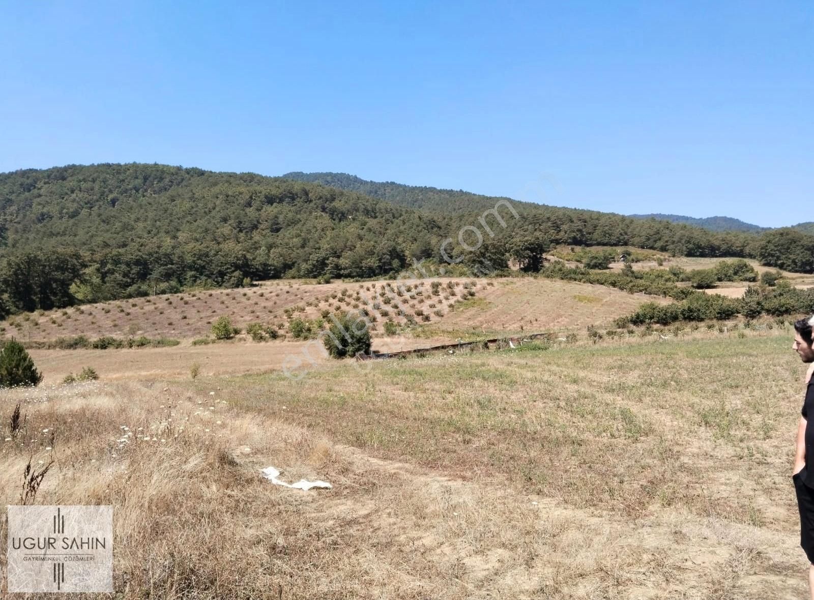 Mudurnu Ortaköy Köyü (Merkez) Satılık Tarla Sarot Termal'e 4 Km Mesafede Yolu Elektriği Suyu Olan Tarla