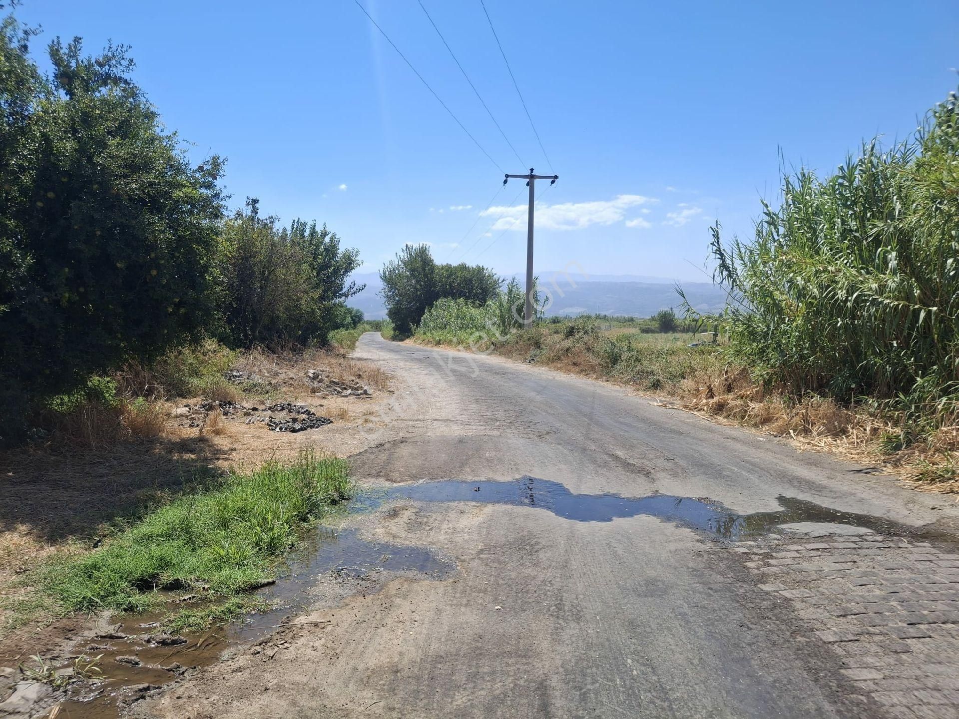Aydın-sultanhısar-hisar Mevkinde Satılık 10 Dönüm Tarla - Görsel 14