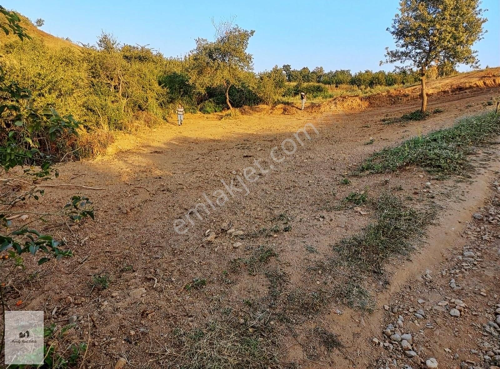 İnegöl Kurşunlu Satılık Bağ & Bahçe Kursunluda Süper Konumda Satılık Tarla