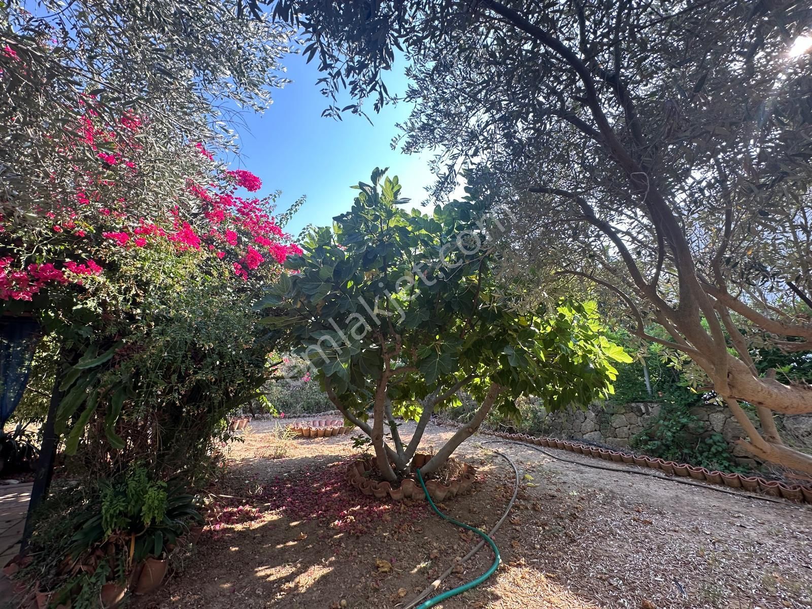 Girne Karaoğlanoğlu'nda denize Sıfır 3+1 Satılık Villa !! - Görsel 32