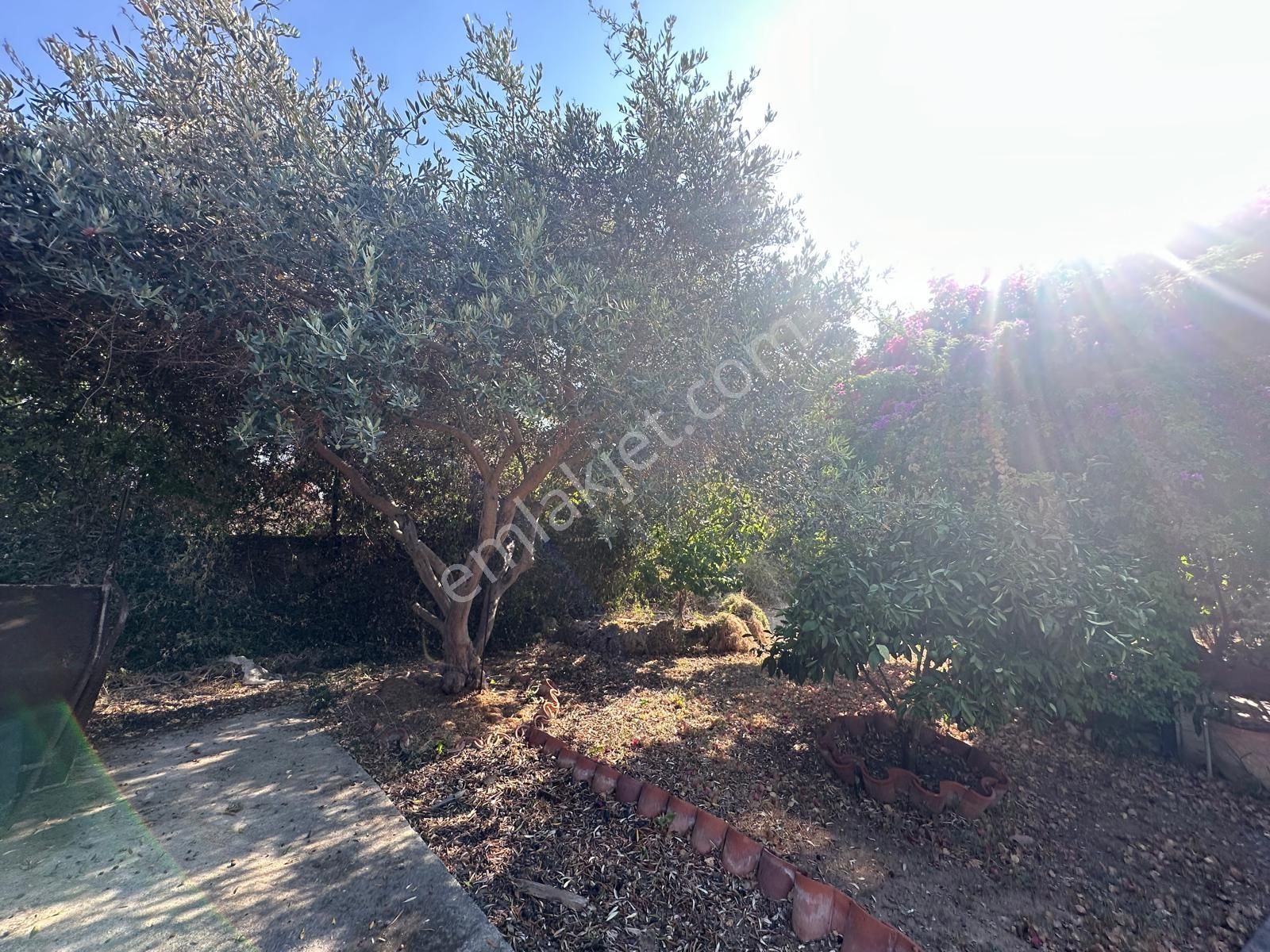 Girne Karaoğlanoğlu'nda denize Sıfır 3+1 Satılık Villa !! - Görsel 27