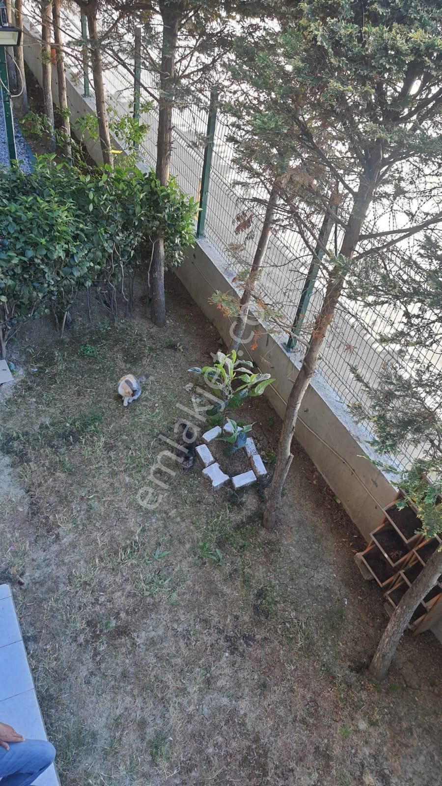 Büyükçekmece Cumhuriyet Mah Lüx Sitede Müstakil Bahçeli Dubleks - Görsel 14