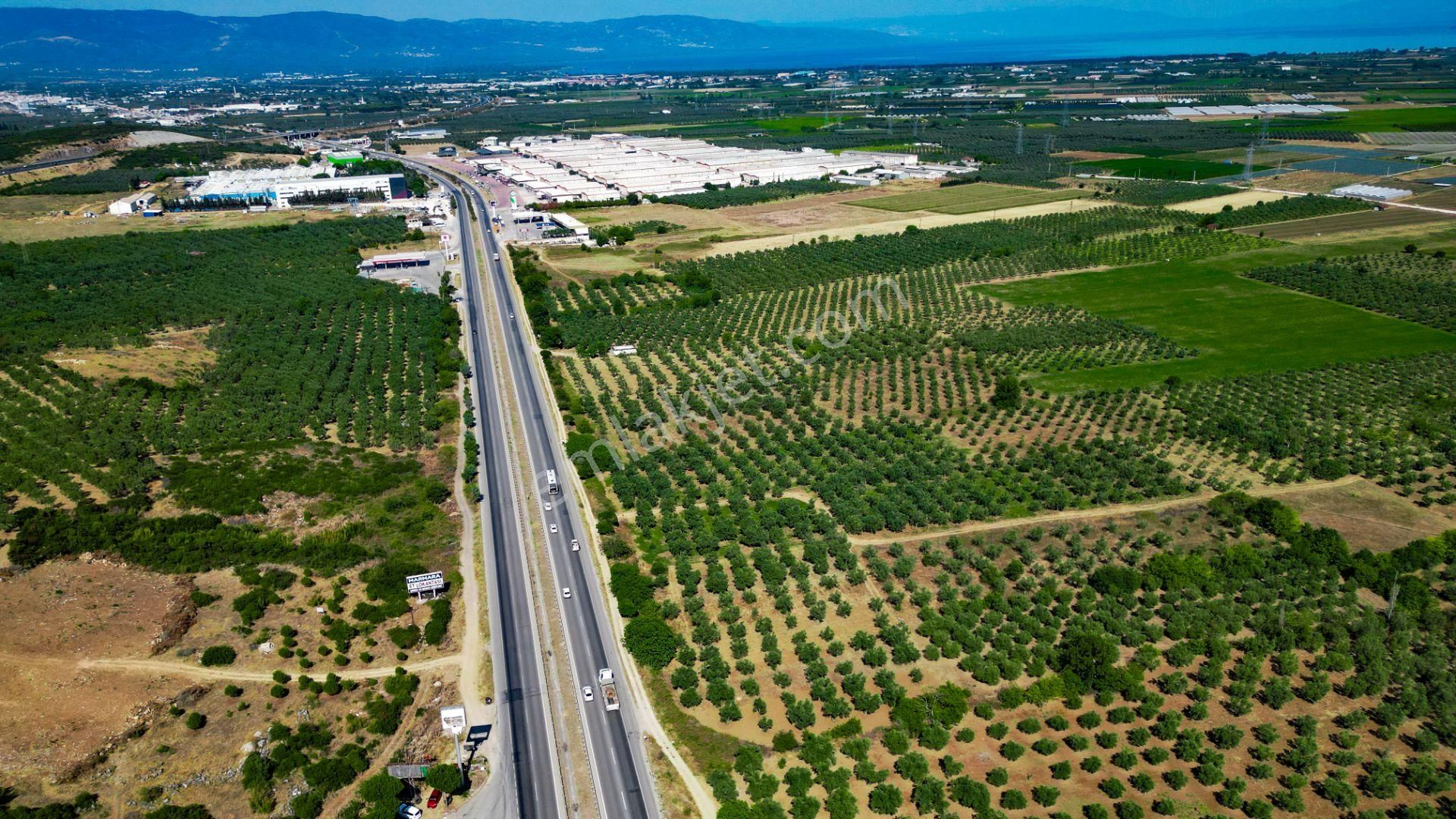 Orhangazi Gedelek Satılık Tarla  BURSA ORHANGAZİ GEDELEK'TE ANAYOL KENARI SATILIK FIRSAT TARLA