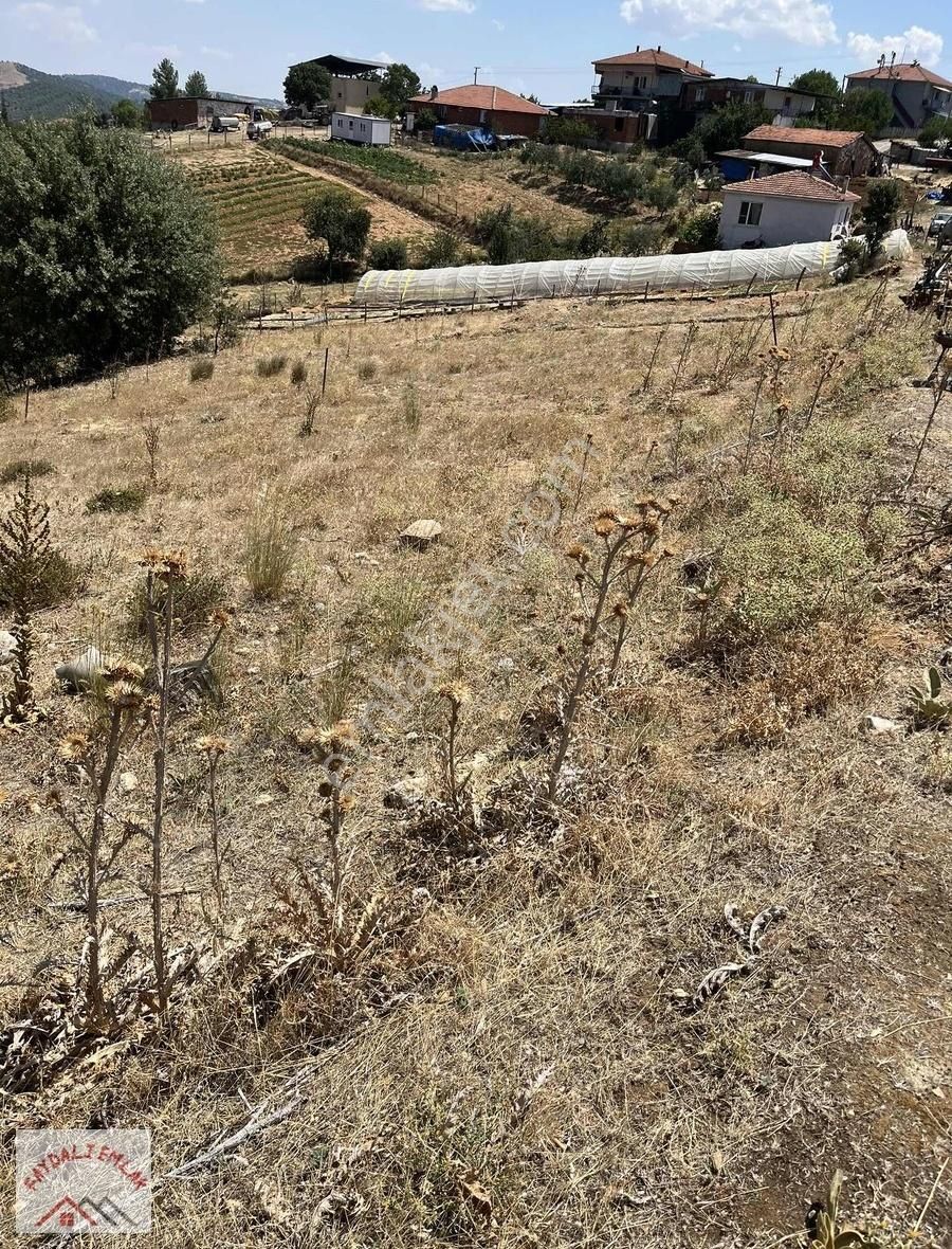 Köprübaşı Yabacı Satılık Tarla MANİSA KÖPRÜBAŞI SATILIK BOŞ ARAZİ