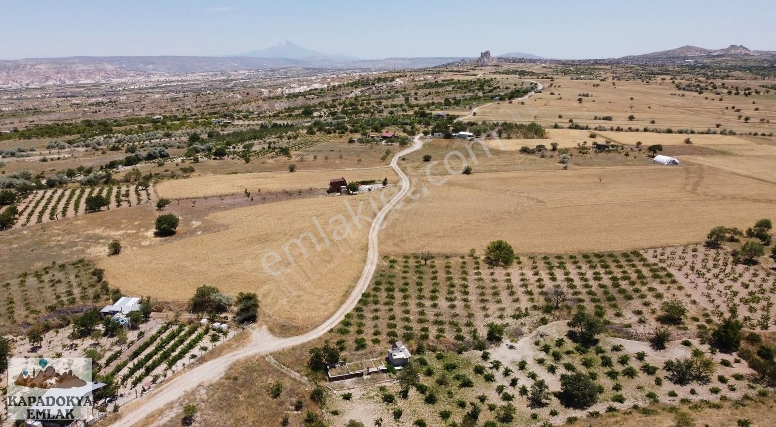 Nevşehir Merkez 15 Temmuz Satılık Tarla KAPADOKYA EMLAK'DAN 3814 M2 YATIRIMLIK BAĞ