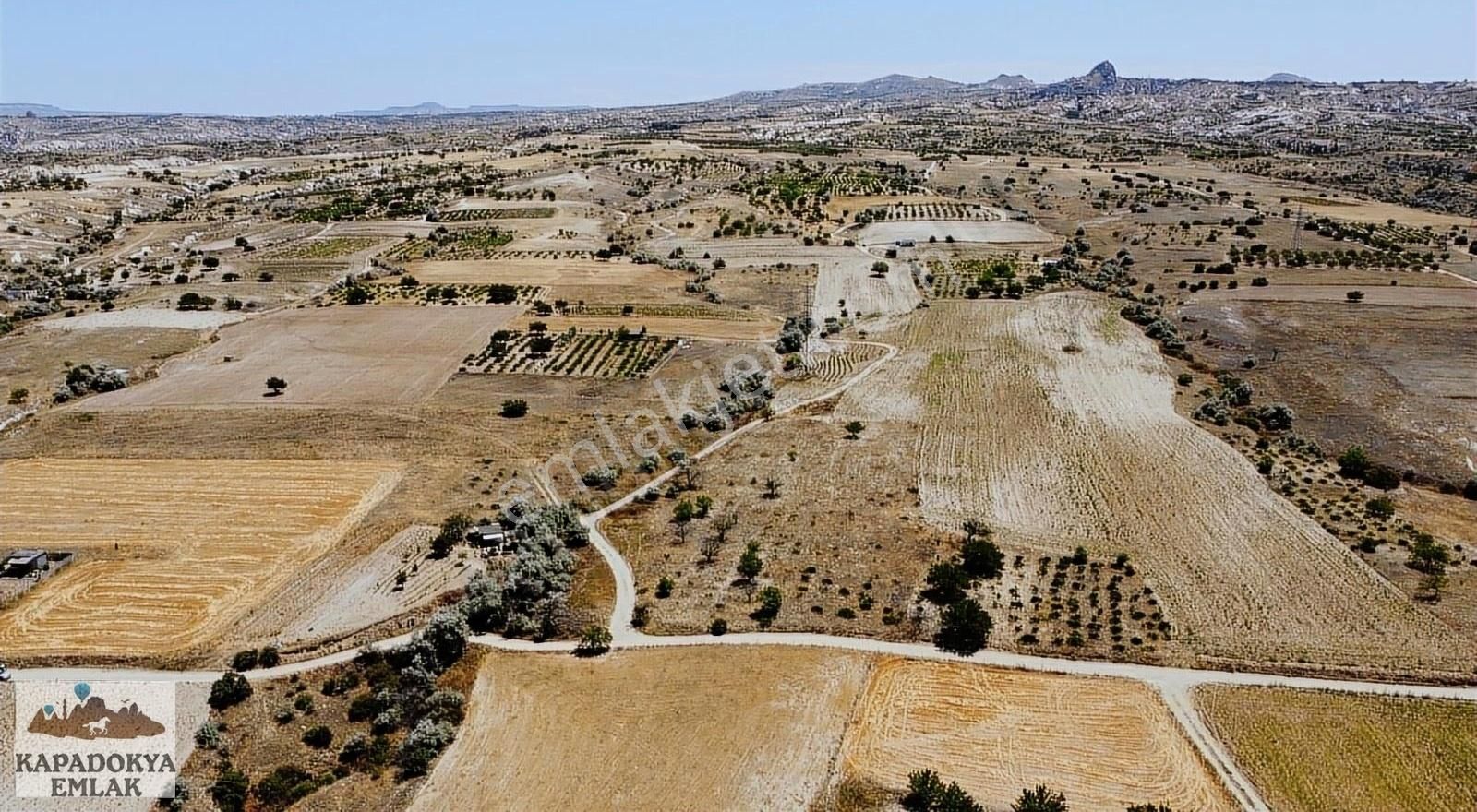 Nevşehir Merkez Göreme Bld. (İsali Gaferli Avcılar) Satılık Tarla KAPADOKYA EMLAK'DAN AŞK VADİSİ'NE YAKIN EMSALİ OLMAYAN BAĞ