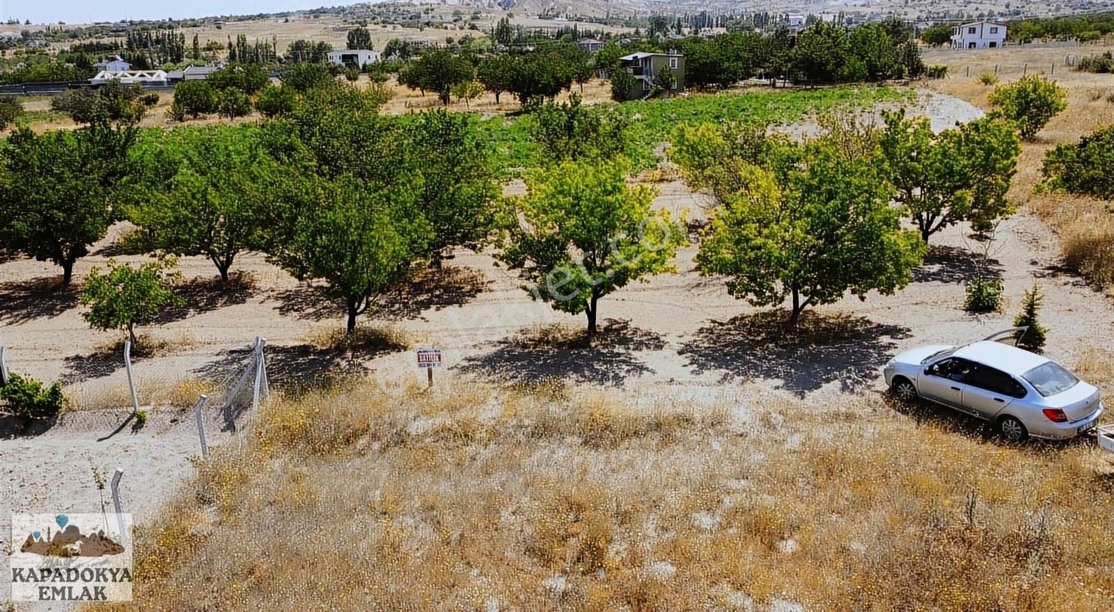 Nevşehir Merkez Uçhisar Bld. (Aşağı) Satılık Tarla KAPADOKYA EMLAK'DAN KALİTELİ BAHÇE