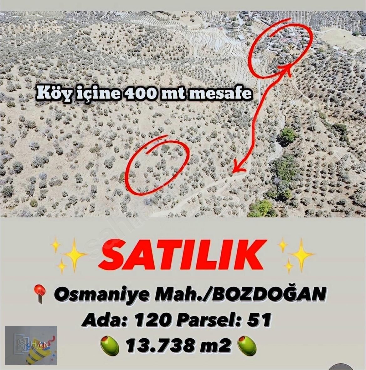 Bozdoğan Osmaniye Satılık Zeytinlik Han Gayrimenkul'den Uygun Fiyatlı Yatırımlık ZEYTİN BAHÇESİ