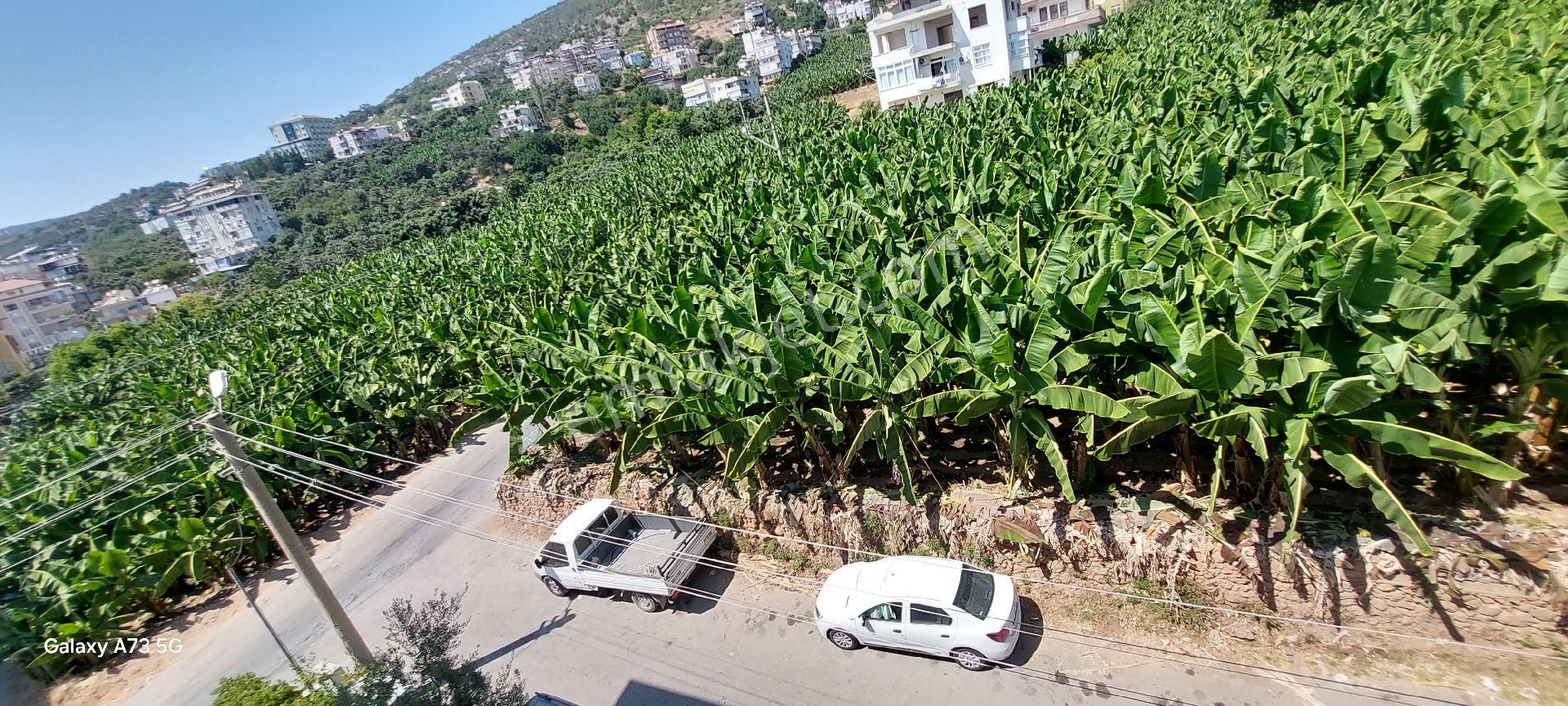 Alanya Dinek Mevkıınde Kıralık Denìz Manzaralı 3+1 Yenı Daıre - Görsel 30