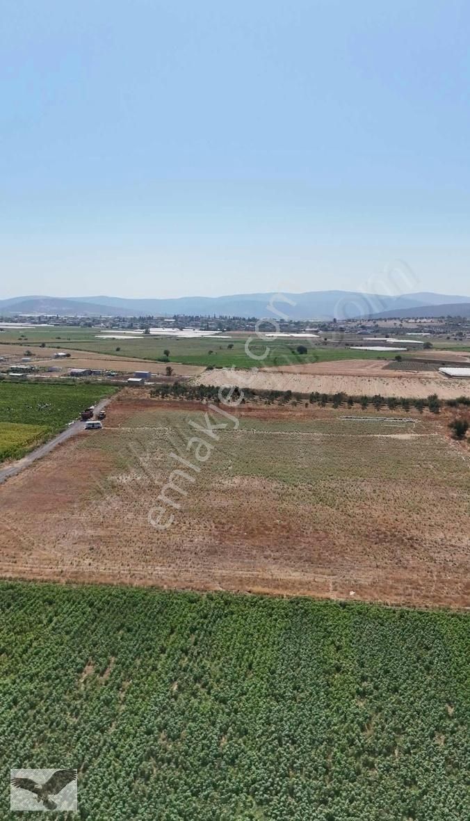 Menderes Sancaklı Satılık Tarla MENDERES SANCAKLI DA 30 DÖNÜM TEK TAPU TARLA