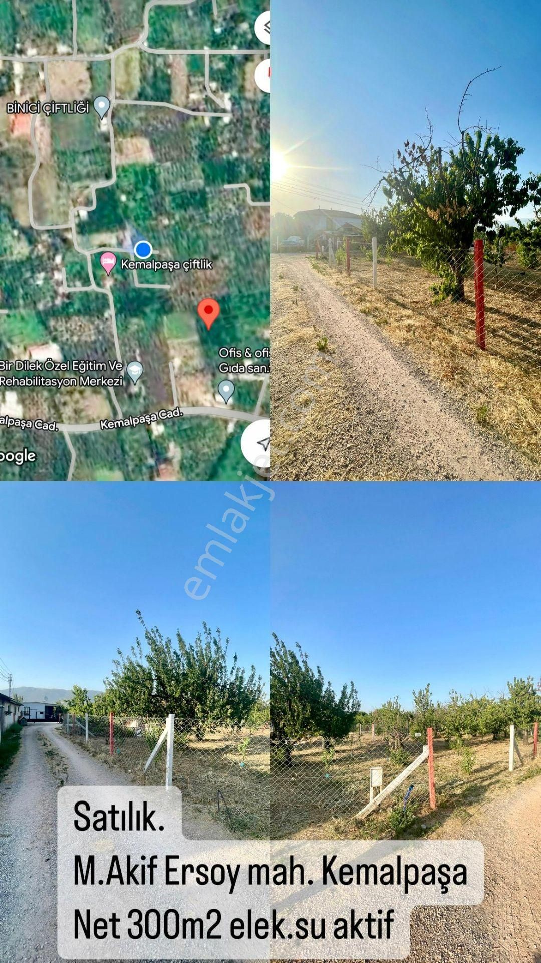 İzmir Kemalpaşa M.akif Ersoy Mahallesi'nde Satılık Tarla - Görsel 2