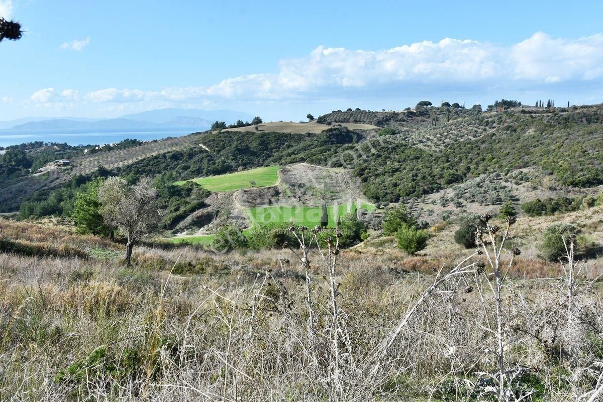 Kuşadası Soğucak Satılık Konut İmarlı KUŞADASI'NDA SATILIK DENİZ VE DOĞA MANZARALI İMARLI ARSALAR