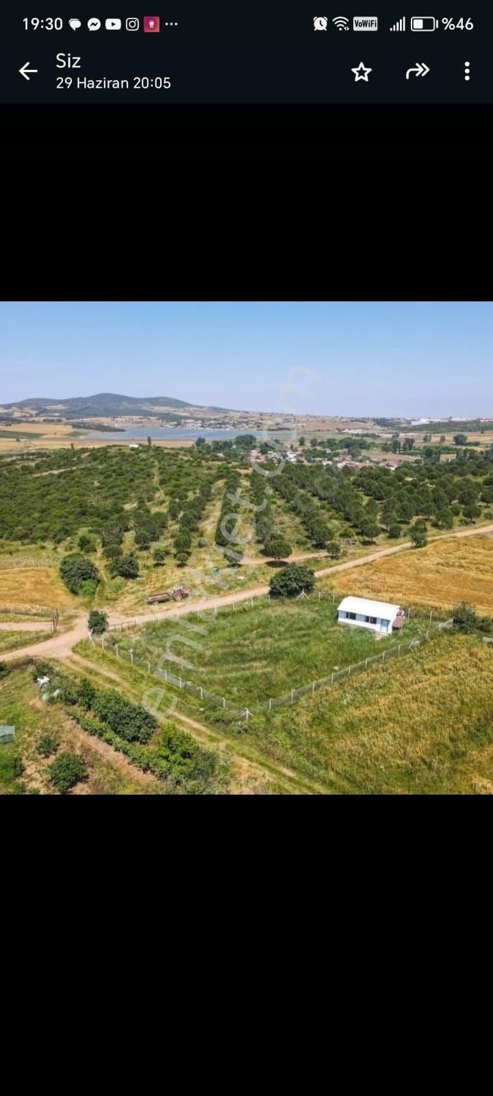 Biga Çelikgürü Köyü Satılık Tarla Canakkale Biga da Satılık Tarla 