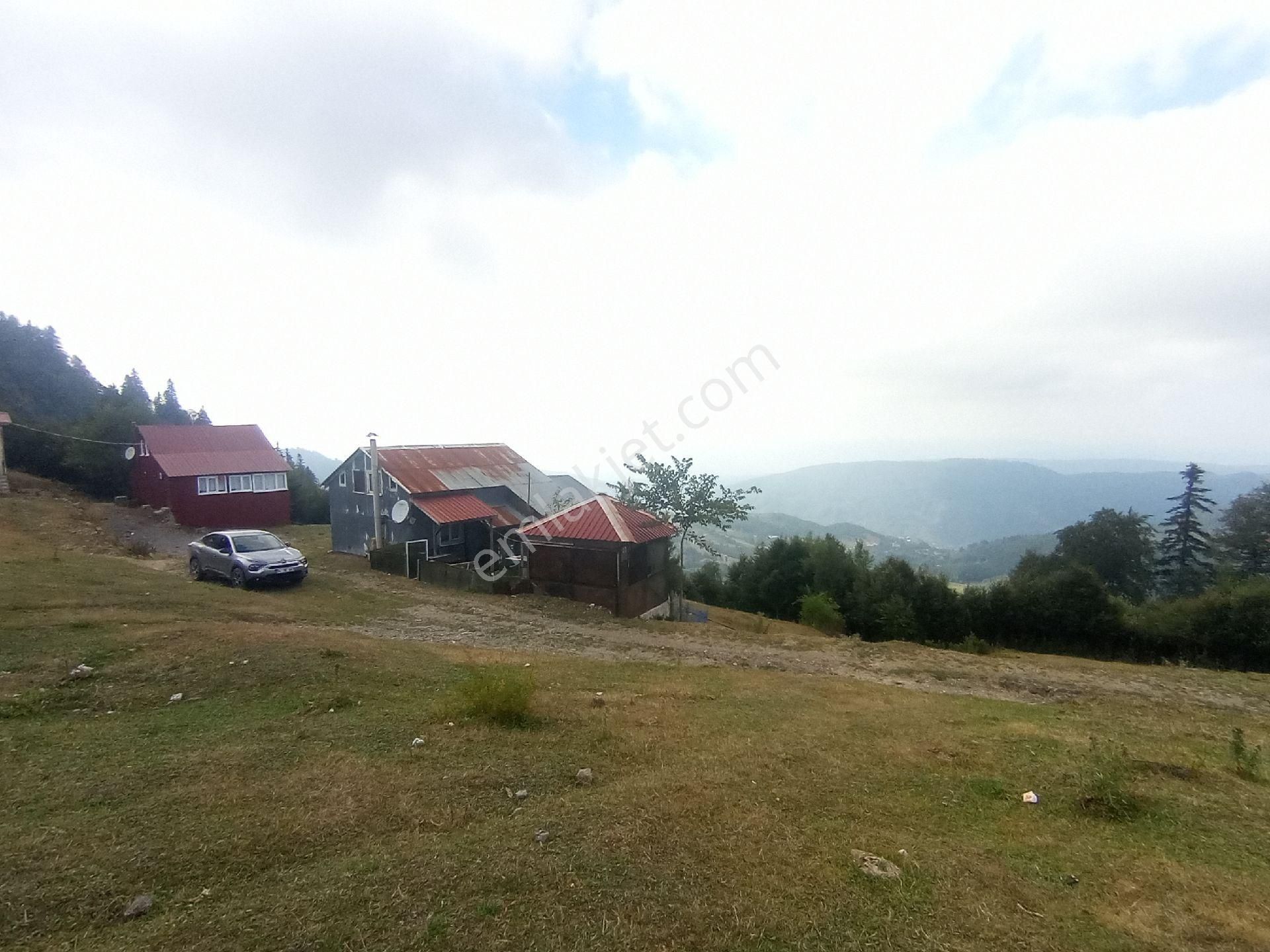 Hendek Dikmen Satılık Daire SAKARYA HENDEK DİKMEN KÖYÜ YAYLA EVİ