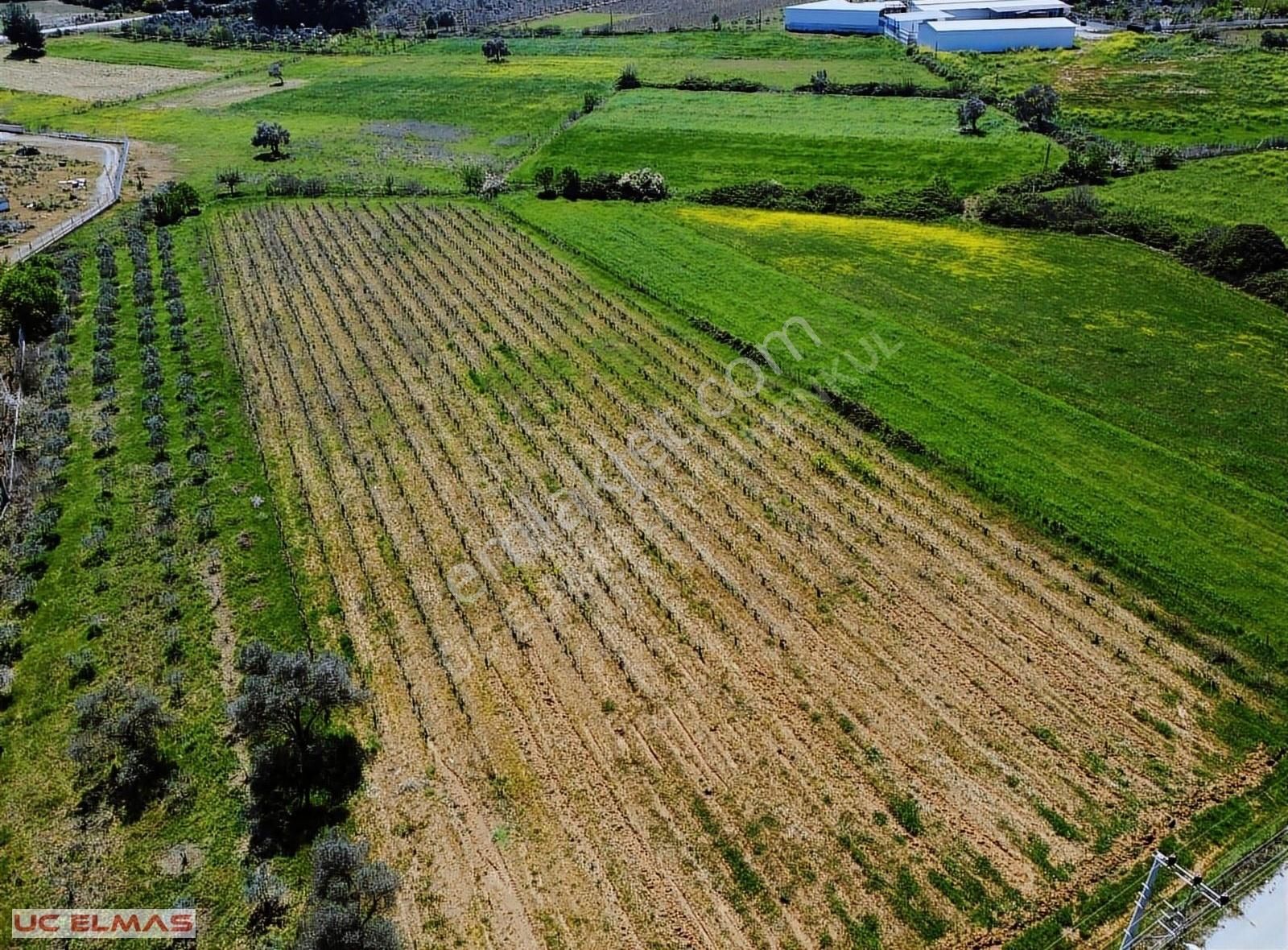 Menderes Çatalca Satılık Tarla ÜÇ ELMASTAN MUHTEŞEM BİR DOĞANIN İÇİNDE 3.600 M² TAPULU BAHÇE