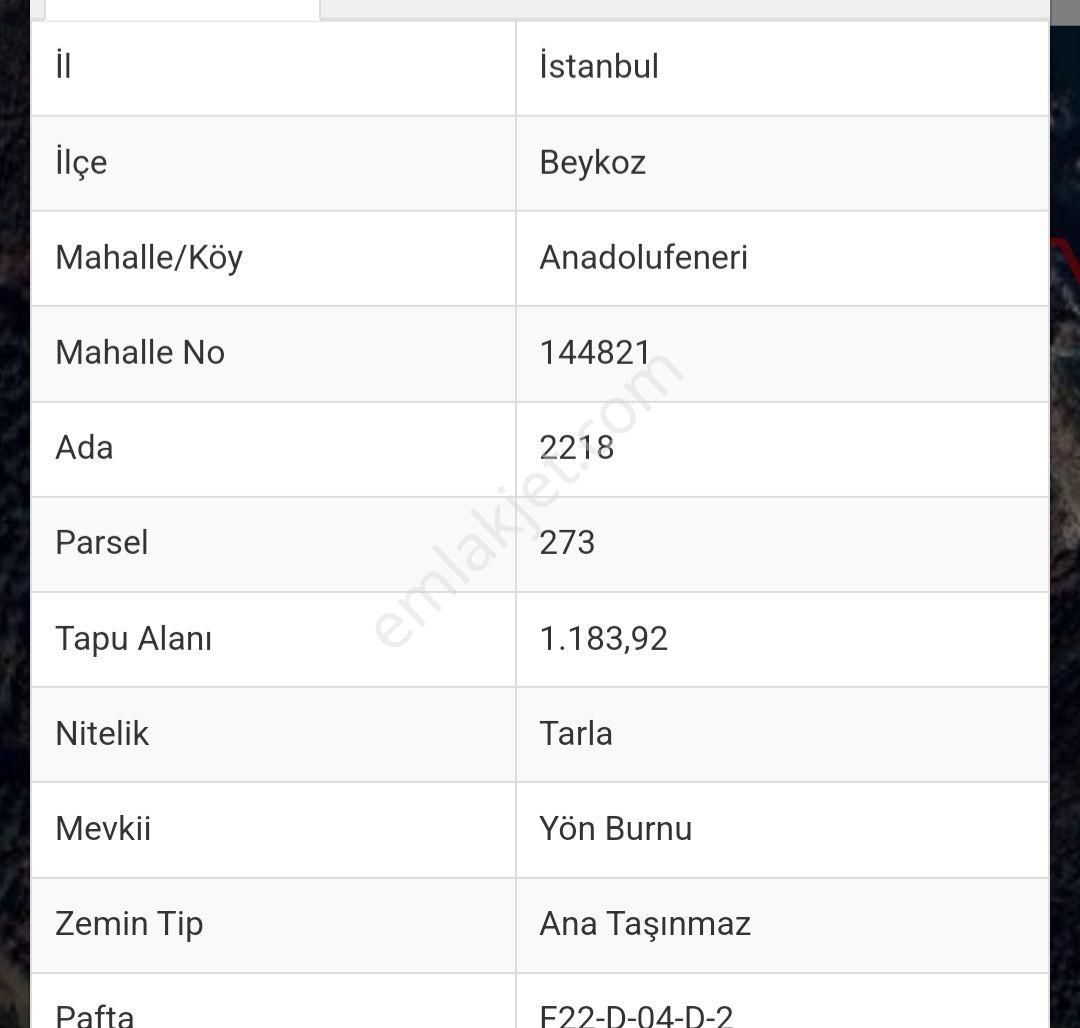 Beykoz Anadolufeneri Satılık Tarla  KING HOUSE KURUMSALDAN İSTANBULDA DOĞA İLE İÇ İÇE TARLA