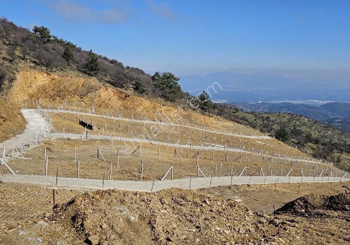 Karabağlar Tırazlı Satılık Tarla KARABAĞLAR TİRAZLİDA BULUNAN 250 METRE KARELİK YERLERİMİZ SATİLİKTİR