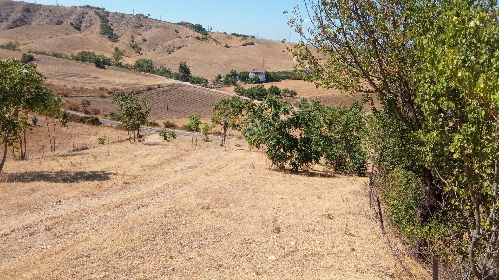 Tokat Erbaa Sarmatut Dolmuş Durağı Mevki 3 Adet Toplam 35 Dönüm Arazi - Görsel 13